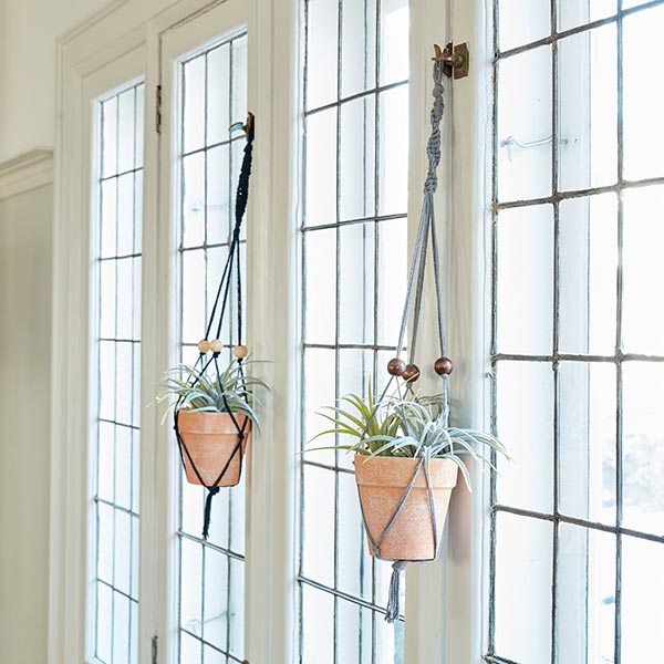 Macrame Plant Hanger